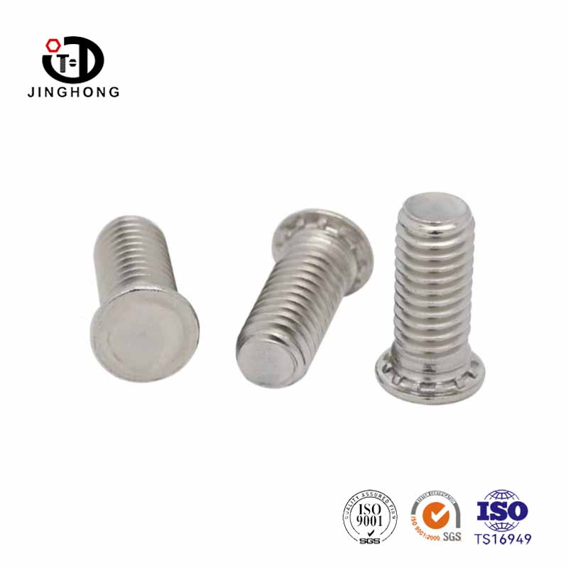 Tornillo de remache de acero inoxidable