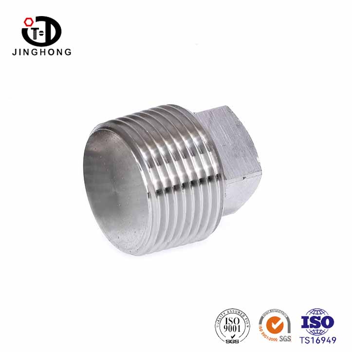 Perno de enchufe de cabeza cuadrada de acero inoxidable